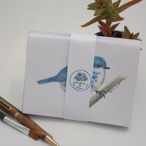 Woodland Grußkartendrucke, 12 Grußkarten-Set mit passenden Umschlägen, handbemalte Kohlmeisen, Kleiber, Himmelssänger, Bluebird Karten