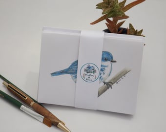 Hand Painted Bird Note Card Set: Chickadee, Nuthatch, Warbler, Bluebird