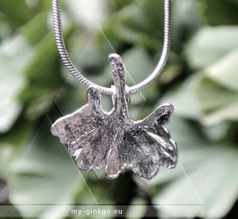 XS Genuine Ginkgo Leaf silver-plated snake chain v image 1