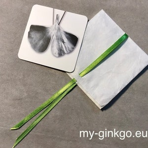 Ginkgoblatt-Anhänger 925 Silber Struktur Männer M23 画像 6