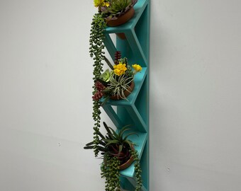 May include: A turquoise wooden wall shelf with three tiers, each holding a potted plant. The plants are a succulent, an air plant, and a leafy green plant. The shelf is mounted on a white wall.