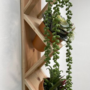 May include: A wooden wall shelf with a staggered design, featuring two potted plants. The top plant is a succulent with long trailing stems, while the bottom plant has long, green leaves. The shelf is made of natural wood with a light brown finish.