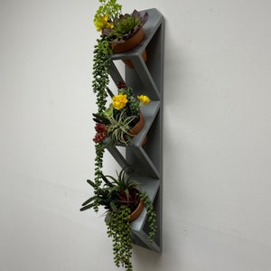 May include: A gray wooden wall shelf with three triangular shelves. Each shelf holds a small terracotta pot with a green plant. The plants are a succulent, a cactus, and a trailing plant.