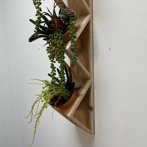 May include: A wooden wall shelf with a geometric design, featuring three potted plants. The shelf is made of light brown wood and has a natural finish. The plants are green and have a variety of textures.