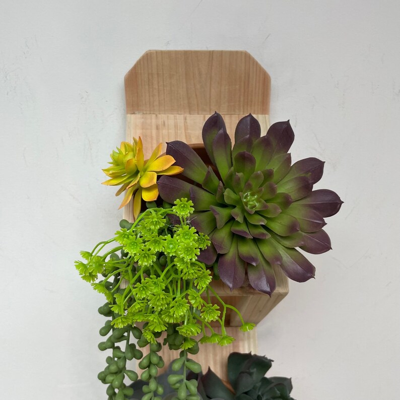 May include: A wooden wall planter with three compartments, each containing a different type of succulent plant. The planter is made of light wood and has a natural finish. The succulents are green, purple, and yellow.