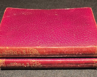 The Three Musketeers Vol 1,2 books     BY   Alexandre Dumas
