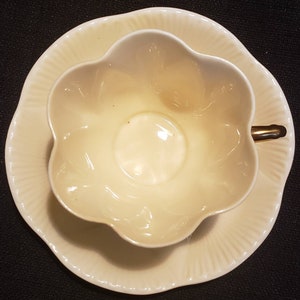 Shelley Dainty White Cup & Saucer