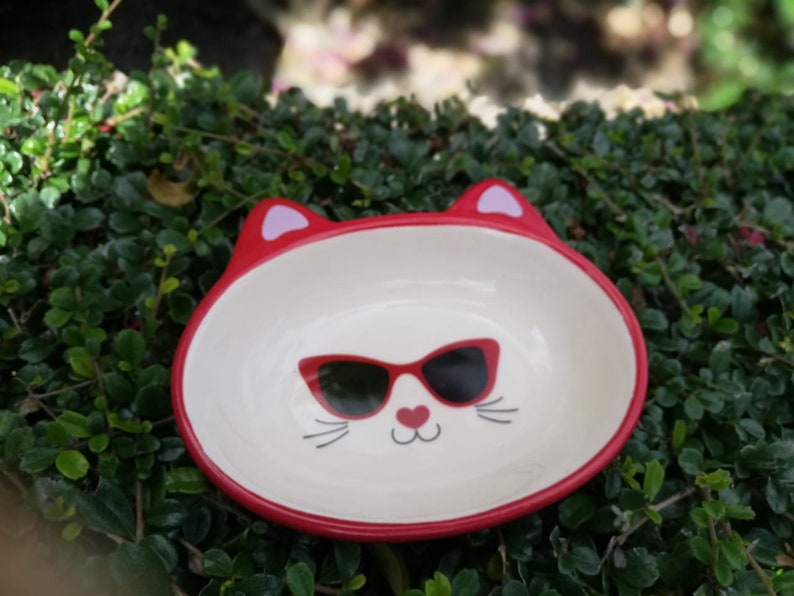 Cute Cat With Lenses Feeding Plate