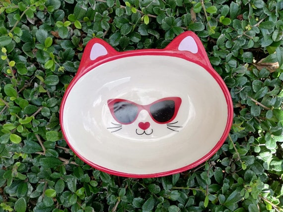 Cute Cat With Lenses Feeding Plate