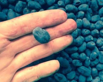 May include: A close-up of a hand holding a single, dark blue berry against a backdrop of many similar berries. The berries are oval-shaped and have a slightly textured surface. The skin of the hand is light-toned.