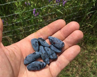 May include: A handful of elongated, dark blue honeysuckle berries, also known as haskap berries, resting in an open palm. The berries have a slightly waxy, matte skin and a distinct oblong shape, showcasing their deep indigo color and texture.