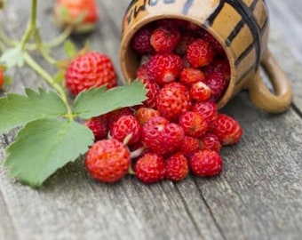 May include: A small, tan ceramic mug with dark brown vertical stripes is tipped over, spilling a cluster of bright red wild strawberries onto a weathered wooden surface. A green strawberry plant stem with three leaves rests nearby.