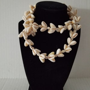 natural seashells necklace, lot B