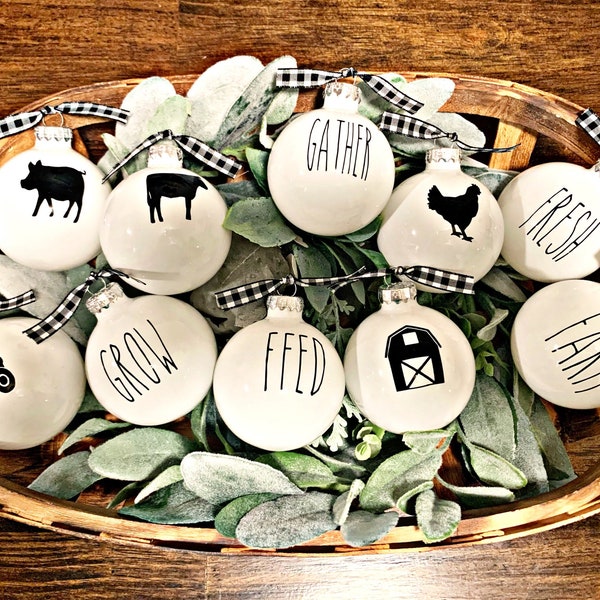 Farmhouse ornaments / Set of 10! / Rae Dunn Inspired/ shatterproof