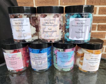 Scented Mini Wax Melts: Vanilla Latte, Iced Gingerbread