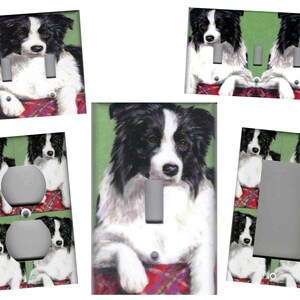 May include: A set of light switch and outlet covers featuring a black and white border collie dog sitting on a red and green plaid blanket. The dog is looking directly at the camera.