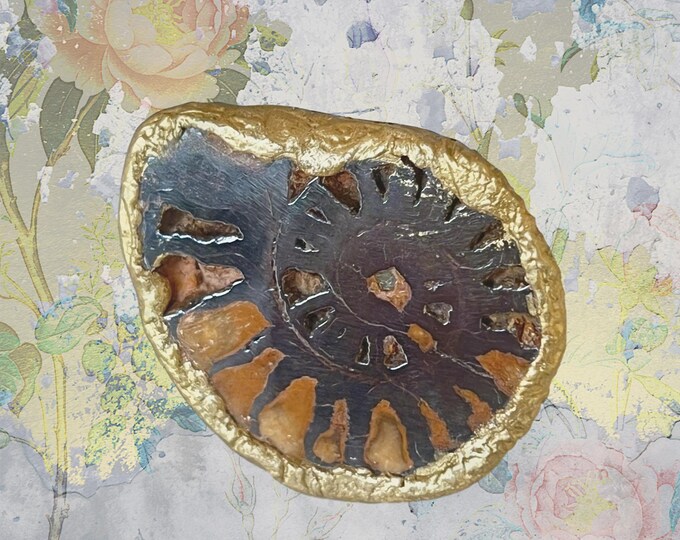 Big fossil AMMONITE RING, Bohemian Statement Ring, Alternative Jewelry, wearable art, symbolizes Cycles and Eternity, ancient Wisdom. US 6