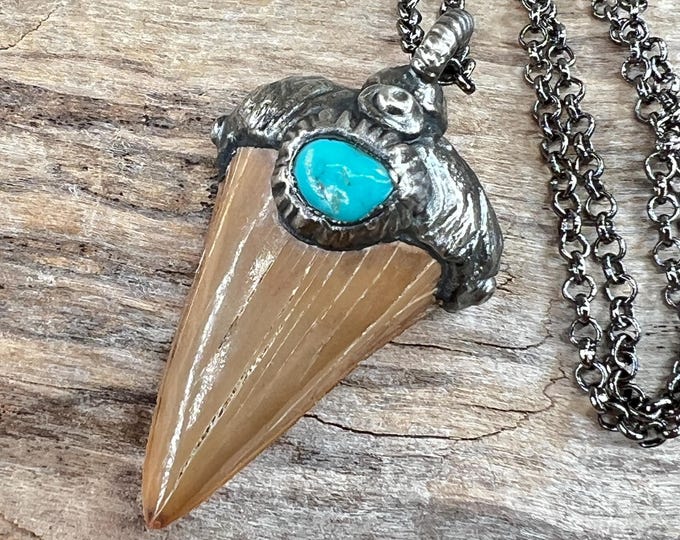 Fossilized Shark Tooth Otodus from Marocco Pendant Necklace, Prehistoric, Extinct, Gift for Boyfriend, Shark Tooth Jewelry, Organic