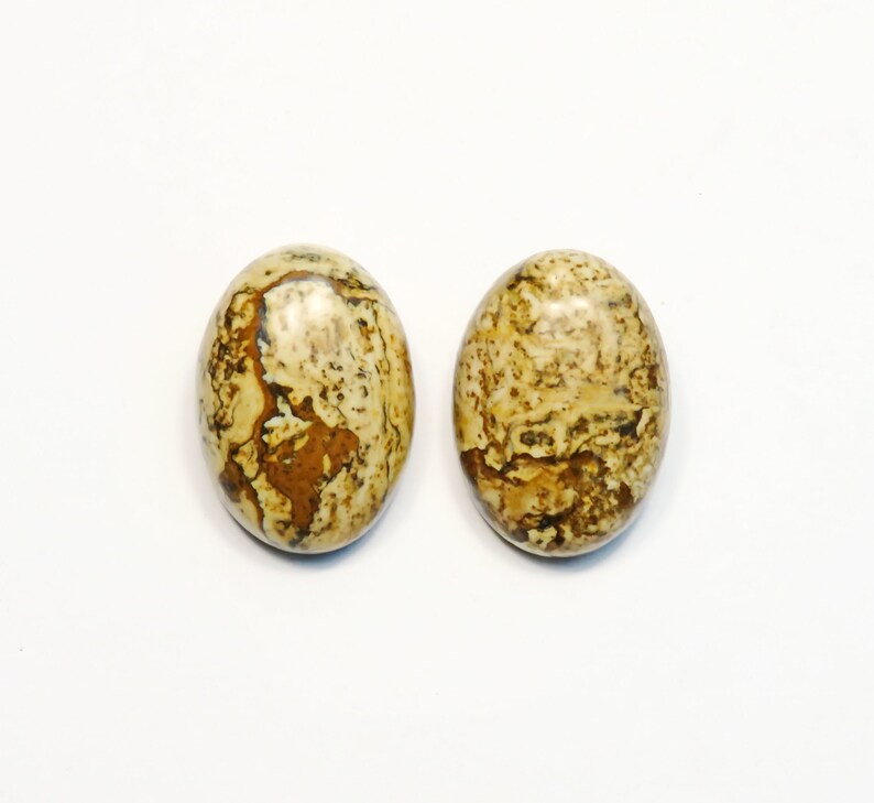 Earclips /'Landscape Jasper/'