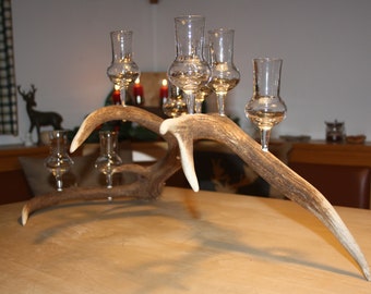 Deer antlers with eight shot glasses