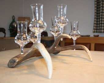 Deer antlers with six shot glasses