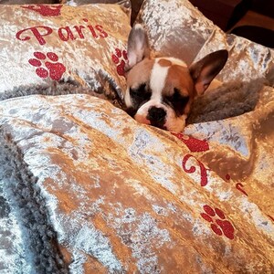 May include: A French Bulldog dog is laying in a plush, silver-colored dog bed with red paw prints and the word "Paris" embroidered on the pillow.