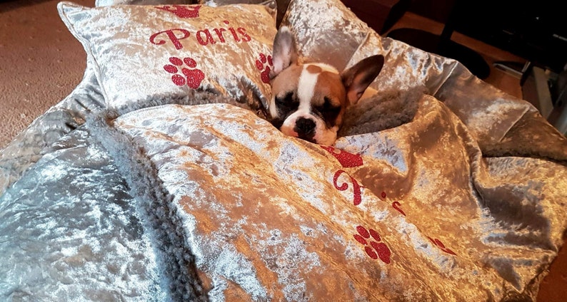 May include: A French Bulldog dog is laying in a plush, silver-colored dog bed with red paw prints and the word "Paris" embroidered on the pillow.