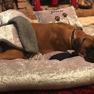 May include: A brown and white boxer dog is sleeping on a gray velvet dog bed. The bed has a gray and white patterned design. The dog is wearing a black collar with a red and white pattern. The bed has a personalized pillow with the name "Jessie" and paw prints.