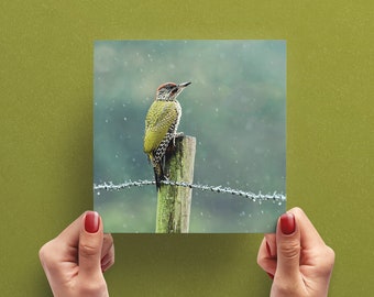 Green Woodpecker Bird Greeting Card – Nature Photography Greeting Card – Photo Card – Greeting Card UK – Card for Bird Lover – Wildlife Card