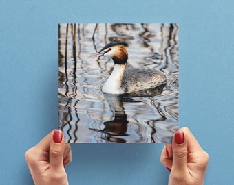 Grebe Bird Greeting Card – Nature Photo Greeting Card – Bird Photo Card – Greeting Card UK – Card for Bird Lover – Wildlife Card