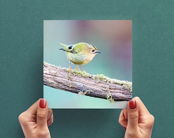 Carte de voeux d'oiseau Goldcrest - Carte de voeux de photographie de nature - Carte de photo d'oiseau - Carte de voeux Royaume-Uni - Carte pour amoureux des oiseaux - Carte de la faune