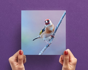 Goldfinch Vogel Grußkarte - Natur Fotografie Grußkarte - Vogel-Foto-Karte - Grußkarte UK - Karte für Vogelliebhaber - Wildlife-Karte