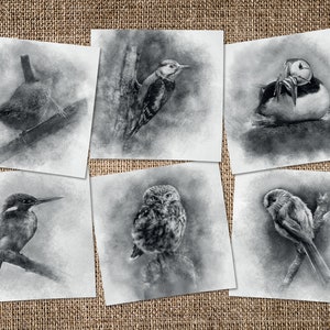 Pack de 6 cartes de vœux illustrées d’oiseau - cartes de voeux d’art - cartes de nature - cartes de voeux de faune - cartes de voeux R-U - n’importe quelle occasion
