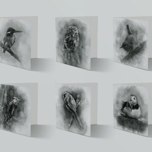 6 Cartões de felicitações de pássaros com desenho a lápis - Cartão de felicitações de arte - Cartão de felicitações da natureza - Cartão de felicitações de vida selvagem - Cartões de felicitações Reino Unido - Amantes de pássaros