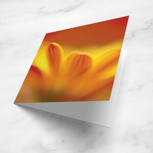 花の空白のグリーティングカード – 花の写真カード – 自然の写真カード – グリーティングカード UK – あらゆる機会