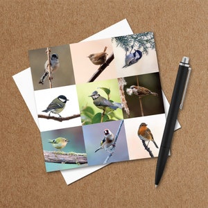 Garden Birds Wenskaart - Bird Lovers - Wildlife Card - Nature Photo Card - Fotografische Kaart - Wenskaarten UK - Elke gelegenheid