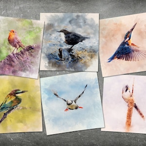 Pacchetto di 6 biglietti d'auguri per uccelli illustrati ad acquerello - Cartoline d'arte per la pittura della fauna selvatica - Biglietti d'auguri d'arte - Biglietti di auguri UK - Arte degli uccelli