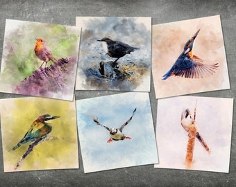 Paquete de 6 tarjetas de felicitación de aves ilustradas de acuarela – Tarjetas de arte de pintura de vida silvestre – Tarjetas de felicitación de arte - Tarjetas de felicitación reino unido - Arte de aves