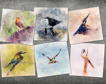 Pack of 6 Watercolour Illustrated Bird Greeting Cards – Wildlife Painting Art Cards – Art Greeting Cards – Greeting Cards UK - Bird Art