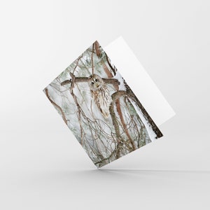 Tarjeta de felicitación en blanco - Tarjeta navideña - Búho real - Tarjeta con foto de pájaro - Fotografía de la naturaleza - Amante de la naturaleza, entusiasta de la vida salvaje, observador de aves