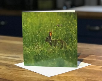 Bunny Rabbit Greetings Card – Nature Photography Card – Wildlife Greeting Card UK - Nature Lover, Wildlife Lover