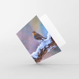 雪の中のロビンのグリーティング カード - クリスマス カード - 自然写真カード - 空白カード - 自然愛好家、野生生物愛好家、バード ウォッチャー