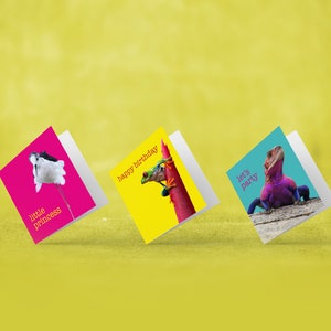 Set von 3 Spaß Geburtstagsgrußkarten - Wildlife Karten - Natur Fotokarten - quadratische fotografische Karten - Grußkarten UK - jede Gelegenheit