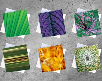 Set of 6 Blank Abstract Plant Cards – Plant Lovers Photo Cards – Art Cards – Nature Photographic Cards – Greeting Cards UK – Any Occasion