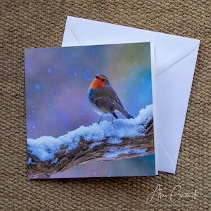 Tarjeta de Navidad con petirrojo en la nieve – Tarjeta de felicitación con fotografía de la naturaleza – Tarjeta de felicitación con aves – Tarjeta de felicitación con vida salvaje del Reino Unido – Amante de la naturaleza, Amante de las aves