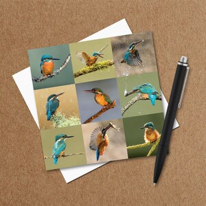 Eisvogel Vogel Grußkarte - Vogel-Liebhaber - Wildlife-Karte - Natur-Foto-Karte - fotografische Karte - Grußkarten UK - jede Gelegenheit