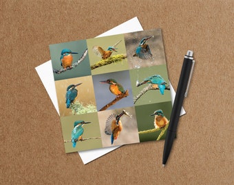 Kingfisher Bird Greeting Card – Bird Lovers – Wildlife Card – Nature Photo Card – Photographic Card – Greeting Cards UK - Any Occasion