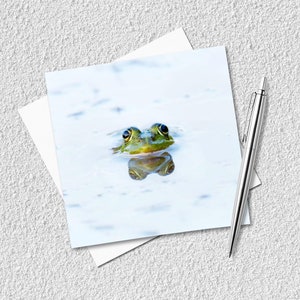 カエルの空白のグリーティング カード – 自然写真カード – 英国の野生動物グリーティング カード – ありがとう – 誕生日 – 自然愛好家、野生動物愛好家