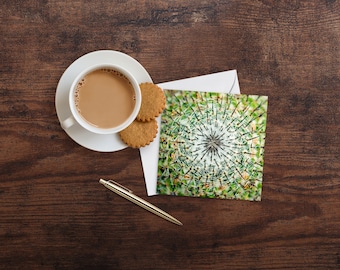 Cactus Blank Greetings Card – Nature Photography Card – Wenskaart NL – Elke gelegenheid