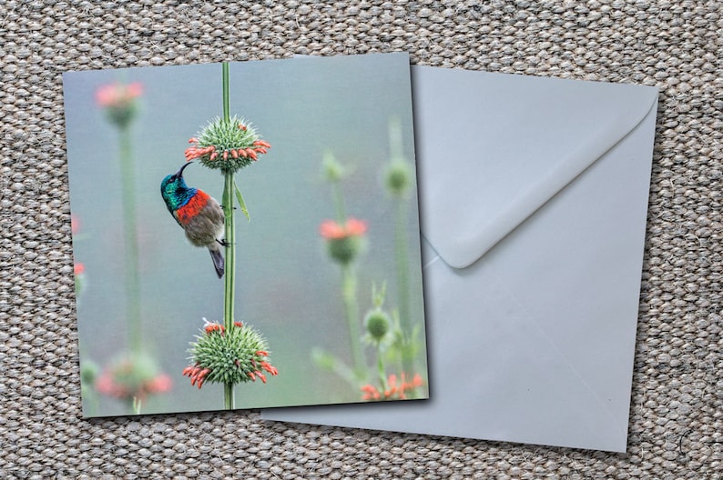 Blank Greeting Card Mockup With Envelope, White Blank Paper Stock Image